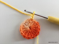 Flor de Algodão passo a passo (20)