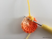 Flor de Algodão passo a passo (21)