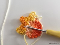 Flor de Algodão passo a passo (34)