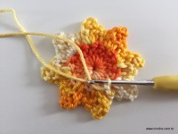 Flor de Algodão passo a passo (40)