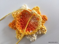 Flor de Algodão passo a passo (46)