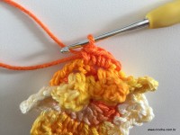 Flor de Algodão passo a passo (53)