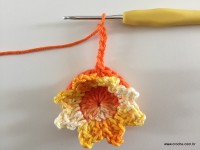 Flor de Algodão passo a passo (62)