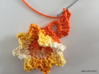 Flor de Algodão passo a passo (70)