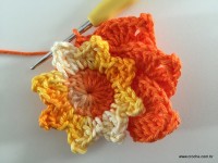 Flor de Algodão passo a passo (83)