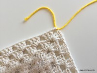 Tapete barroco com flor de algodão (92)