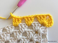 Tapete barroco com flor de algodão (93)