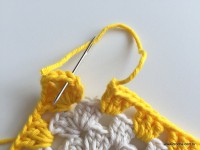 Tapete barroco com flor de algodão (95)