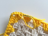 Tapete barroco com flor de algodão (96)