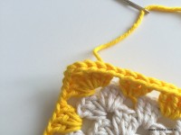 Tapete barroco com flor de algodão (97)