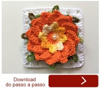 Download do passo a passo