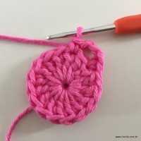 Flor Rosa rasteira passo a passo (10)