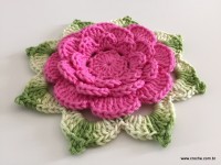 Flor Rosa rasteira passo a passo (107)