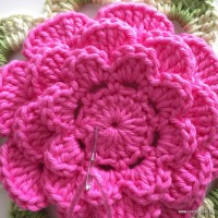 Flor Rosa rasteira passo a passo (110)