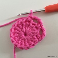 Flor Rosa rasteira passo a passo (12)