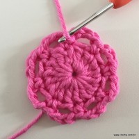 Flor Rosa rasteira passo a passo (13)