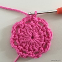 Flor Rosa rasteira passo a passo (14)