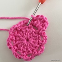 Flor Rosa rasteira passo a passo (20)