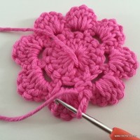 Flor Rosa rasteira passo a passo (30)