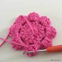 Flor Rosa rasteira passo a passo (32)