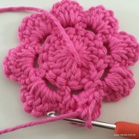 Flor Rosa rasteira passo a passo (33)