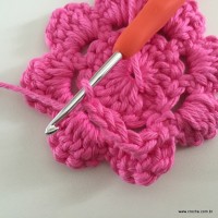 Flor Rosa rasteira passo a passo (34)