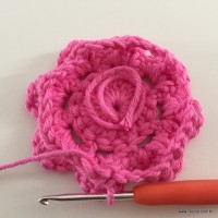 Flor Rosa rasteira passo a passo (37)