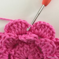 Flor Rosa rasteira passo a passo (48)