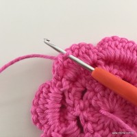 Flor Rosa rasteira passo a passo (51)