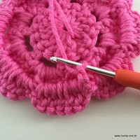 Flor Rosa rasteira passo a passo (52)