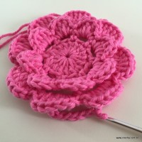 Flor Rosa rasteira passo a passo (60)