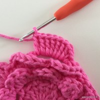 Flor Rosa rasteira passo a passo (63)