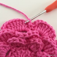 Flor Rosa rasteira passo a passo (69)