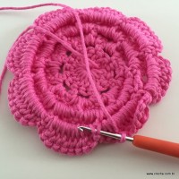 Flor Rosa rasteira passo a passo (72)