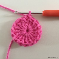 Flor Rosa rasteira passo a passo (8)