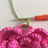 Flor Rosa rasteira passo a passo (87)