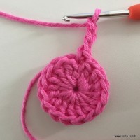 Flor Rosa rasteira passo a passo (9)