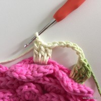 Flor Rosa rasteira passo a passo (90)