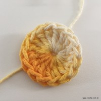Flor passo a passo (10)
