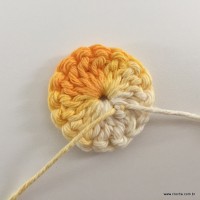 Flor passo a passo (12)