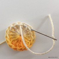Flor passo a passo (9)
