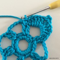 Flor de pêssego (26)