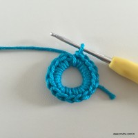 Flor de pêssego (5)