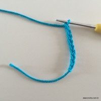 Flor de pêssego (1)