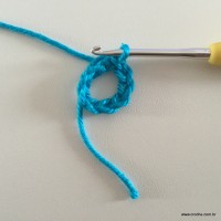 Flor de pêssego (2)