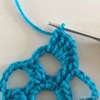 Flor de pêssego (20)