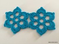 Flor de pêssego (36)