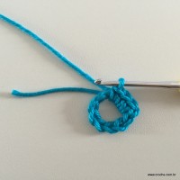 Flor de pêssego (4)