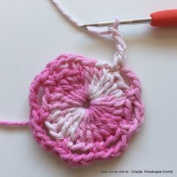 Flor Priscila 2 (10)