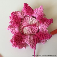 Flor Priscila 2 (100)